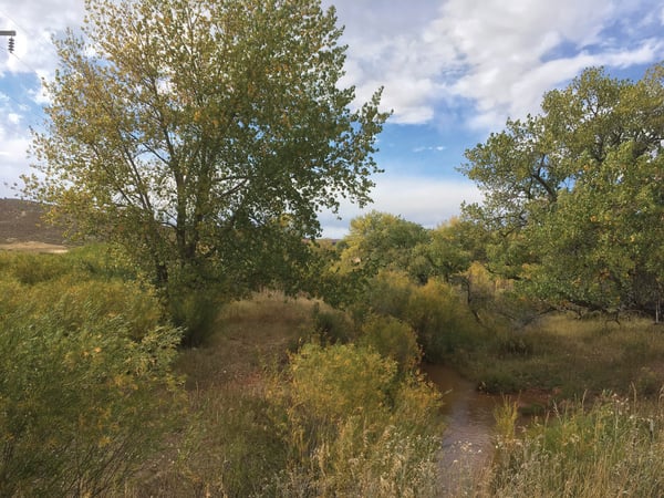 Colorado’s New Dredge and Fill Program Reshapes Project Implementation