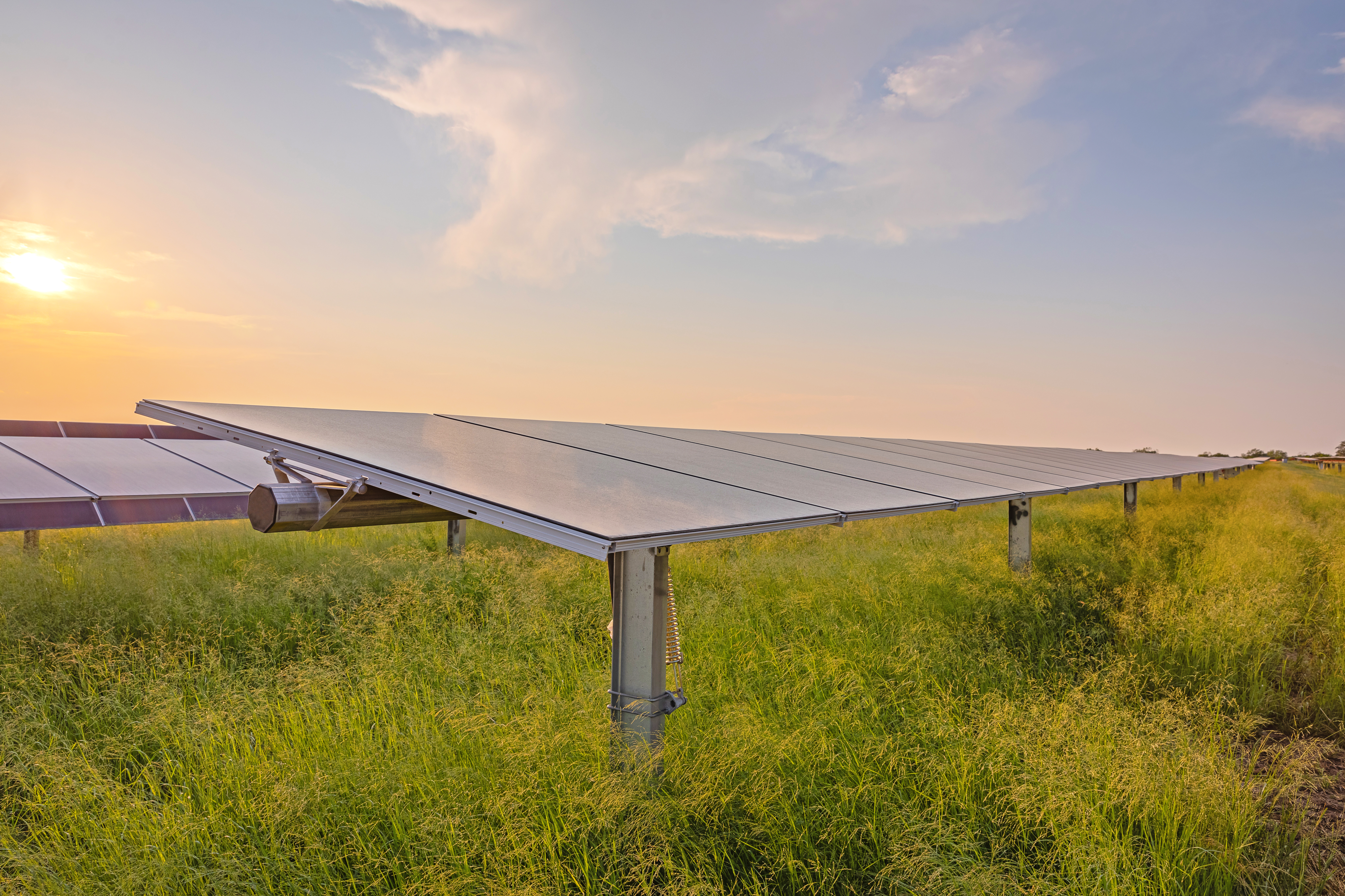 field of installed solar panels with sunset in background