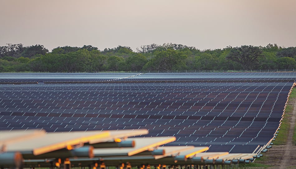 view of large field of installed solar panels