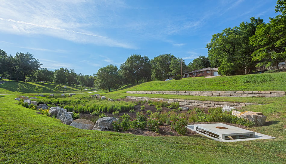 plantings in water control feature with tiered sides