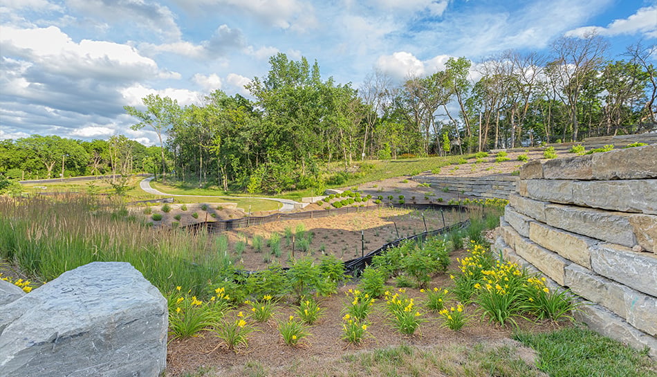 plantings, retention wall and temporary runoff protection