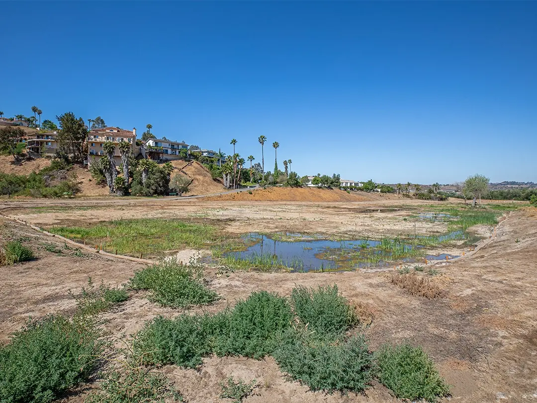 restored area with terraced ground, wetland and homes on hillside