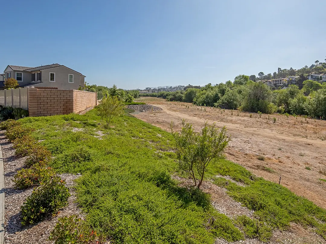 terraced ground with plantings and adjacent homes
