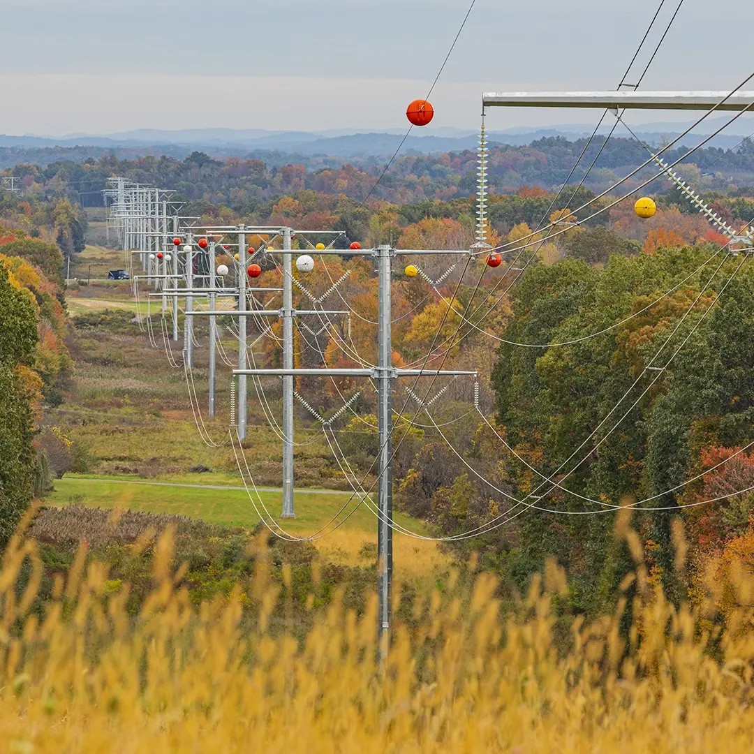 Electrical Transmission & Distribution