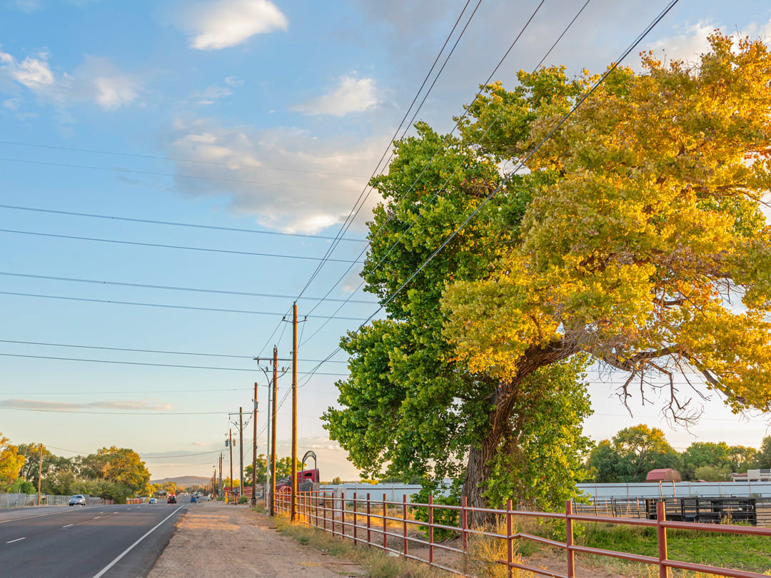 perspective view of distribution poles alongside a highway, with farm setting adjacent