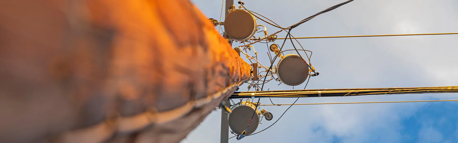 View of power pole looking up from ground level